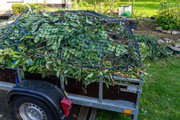 Best Commercial Junk Removal  in Mckenzie, TN